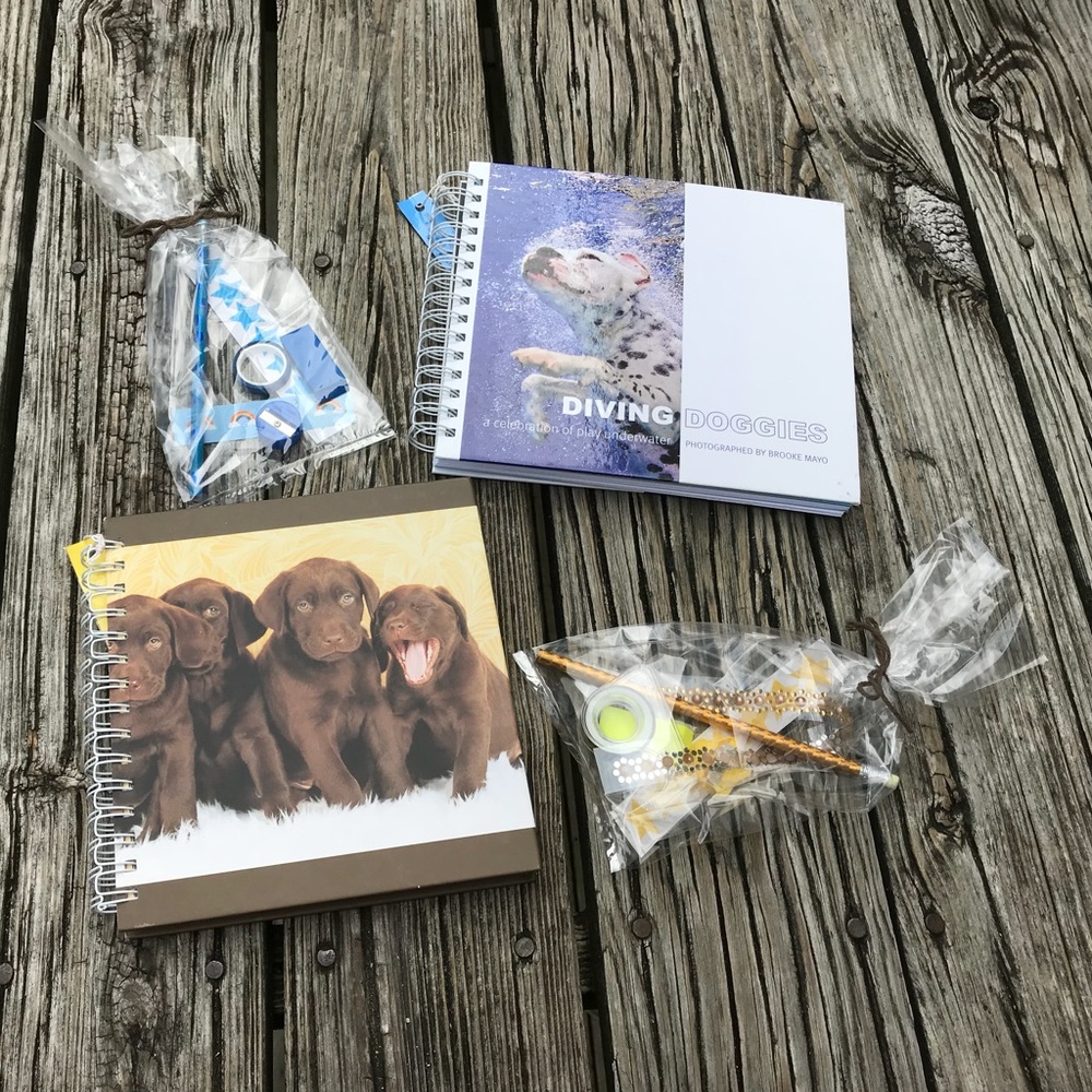 2 Repurposed Lab Dog Pet Lover Book Journals Bonus